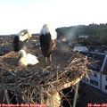 05_55-nest.jpg