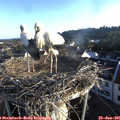 06_40-nest.jpg