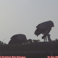 07_00-mast.jpg