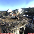 07_25-nest.jpg