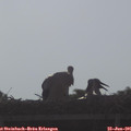 08_05-mast.jpg