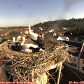 08_15-nest.jpg