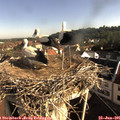 08_25-nest.jpg