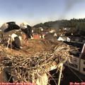 08_35-nest.jpg
