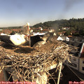 09_10-nest.jpg