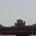09_40-mast.jpg