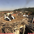 09_40-nest.jpg