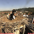 09_55-nest.jpg