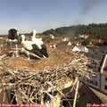 10_25-nest.jpg