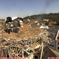 10_45-nest.jpg