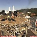 11_15-nest.jpg