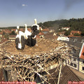 11_40-nest.jpg