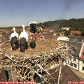 12_00-nest.jpg