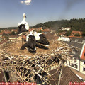 12_15-nest.jpg