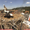13_15-nest.jpg