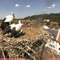 13_20-nest.jpg