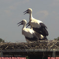 14_00-mast.jpg
