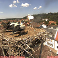 14_05-nest.jpg