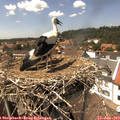 14_25-nest.jpg