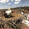 14_35-nest.jpg