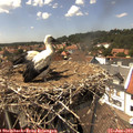14_40-nest.jpg