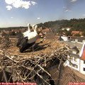 15_05-nest.jpg