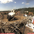 15_10-nest.jpg
