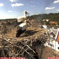 15_45-nest.jpg