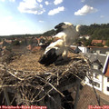 16_35-nest.jpg