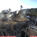 19_25-nest.jpg