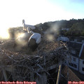 20_35-nest.jpg