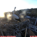 20_45-nest.jpg