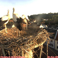 06_30-nest.jpg