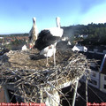 07_45-nest.jpg