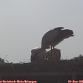 08_05-mast.jpg