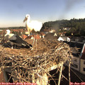 08_35-nest.jpg