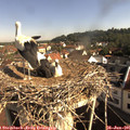 09_05-nest.jpg