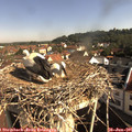 09_10-nest.jpg