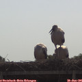 09_35-mast.jpg