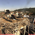 09_35-nest.jpg