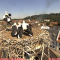 11_05-nest.jpg
