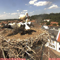 13_50-nest.jpg