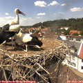14_25-nest.jpg