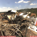 14_30-nest.jpg