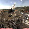15_00-nest.jpg