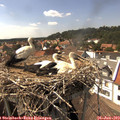 15_30-nest.jpg