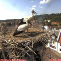 16_15-nest.jpg