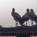 06_00-mast.jpg
