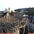 06_30-nest.jpg