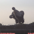 07_00-mast.jpg